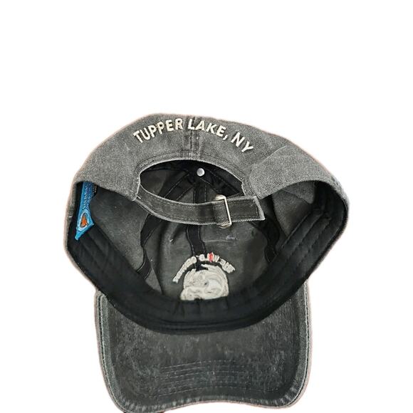 Vintage The Wild Center Hat Buckle Logo Embroidered Gray Cap Tupper Lake, NY - Picture 2 of 3
